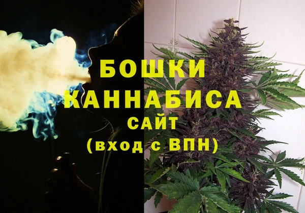 индика Арсеньев