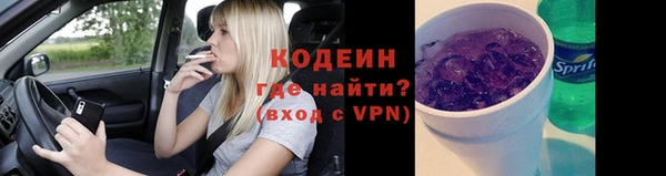 крисы Армянск
