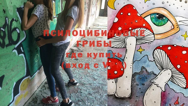 крисы Алексеевка