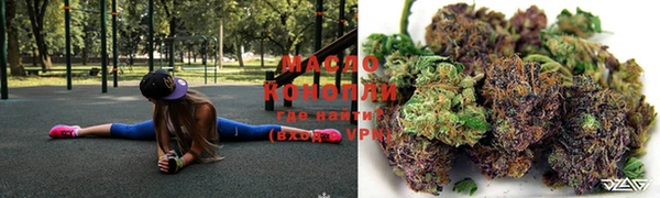 индика Арсеньев