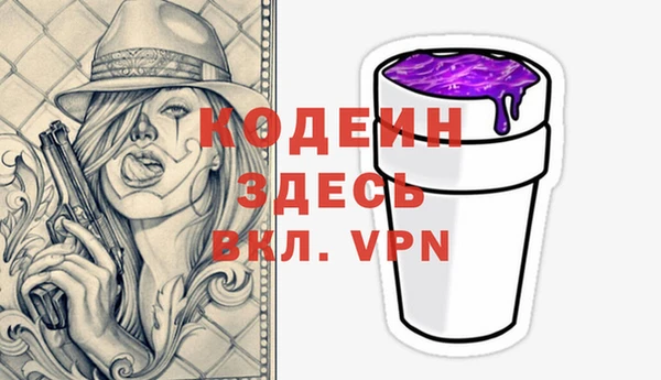 индика Арсеньев